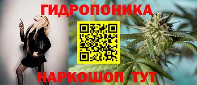 spice Изобильный